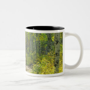 Caneca De Café Em Dois Tons Estrada com cores de outono e álamos em Kebler