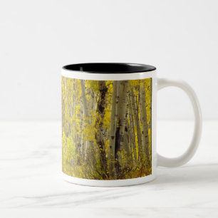 Caneca De Café Em Dois Tons Estrada com cores de outono e álamos em Kebler 2