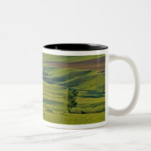 Caneca De Café Em Dois Tons estrada de cascalho Comertown no remoto nordeste