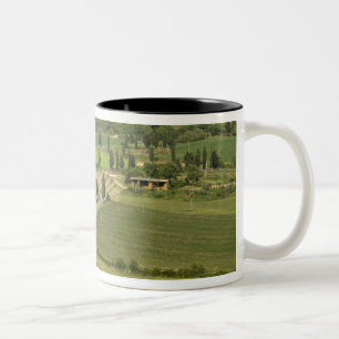 Caneca De Café Em Dois Tons Estrada de Pienza a Montepulciano,