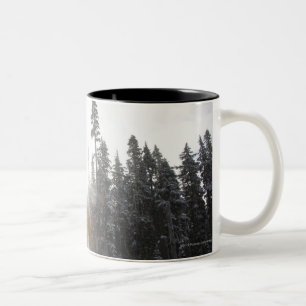 Caneca De Café Em Dois Tons Estrada de terra nevado que entra no sol