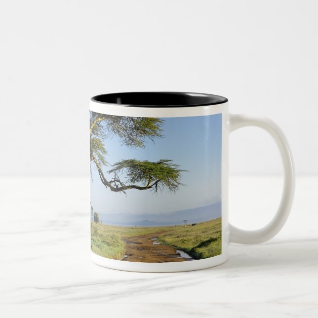 Caneca De Café Em Dois Tons Estrada de terra primitiva e aracácia, Lago Nakuru (Direita)