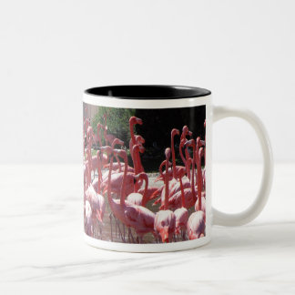 Caneca De Café Em Dois Tons Estrada do flamingo