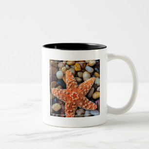 Caneca De Café Em Dois Tons Estrela do mar em rochas