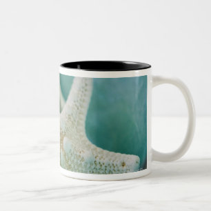 Caneca De Café Em Dois Tons Estrela do mar na bacia