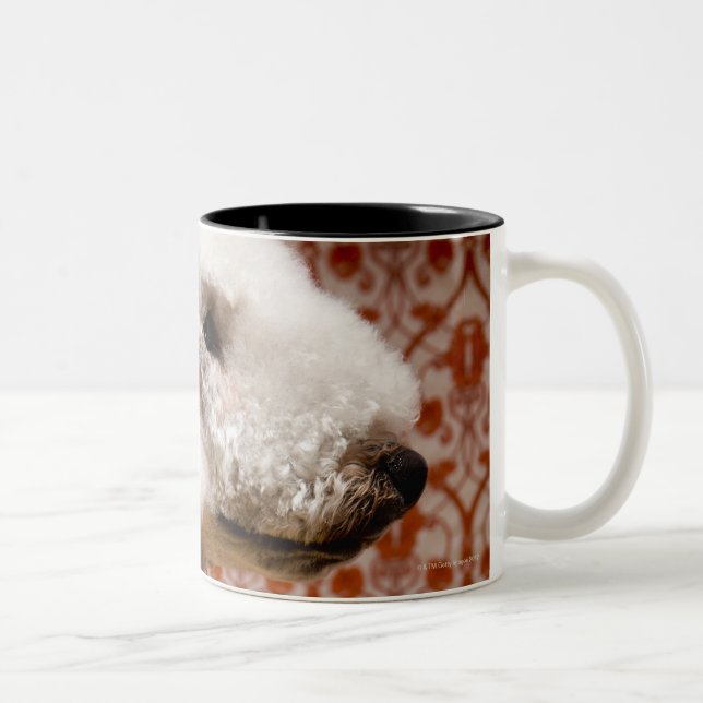 Caneca De Café Em Dois Tons Estúdio disparado de Bedlington Terrier (Direita)
