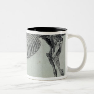 Caneca De Café Em Dois Tons Estudo terminado   de George Stubbs para o quinto