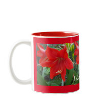 Eu adoro Amaryllis Flowers Cup