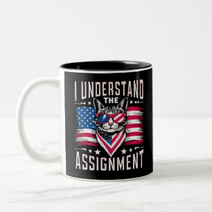 Caneca De Café Em Dois Tons Eu Entendo A Tarefa Gata Dama De Gato Sem Filhos