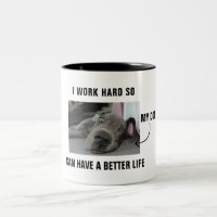 Eu trabalho duro para que meu cachorro tenha uma v