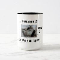 Eu trabalho duro para que meu gato tenha uma vida
