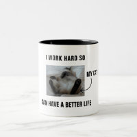 Eu trabalho duro para que meu gato tenha uma vida
