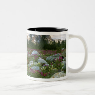 Caneca De Café Em Dois Tons EUA, Alasca, Deserto de Alsek-Tatshenshini. Vista