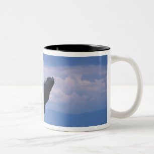 Caneca De Café Em Dois Tons EUA, Alasca, Floresta Nacional Tongass, Jubarte