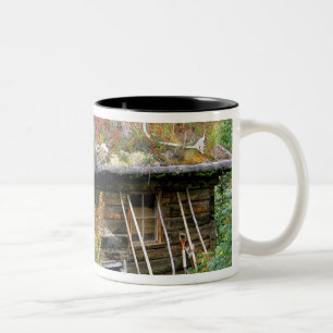 Caneca De Café Em Dois Tons EUA, Alasca, Parque Nacional Denali, Kantishna.