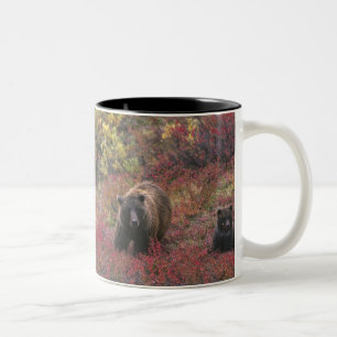 Caneca De Café Em Dois Tons EUA, Alasca, Parque Nacional Denali. Urso-grizzly