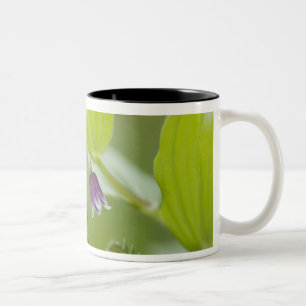 Caneca De Café Em Dois Tons EUA, Alasca, Parque Nacional Glacier Bay.