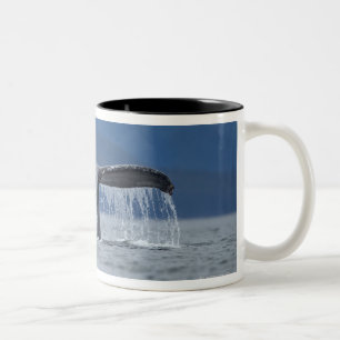 Caneca De Café Em Dois Tons EUA, Alaska, floresta nacional de Tongass,
