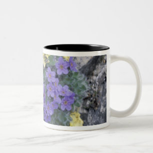 Caneca De Café Em Dois Tons EUA, Alaska National Wildlife Refuge (ANWR).2