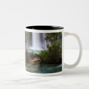 Caneca De Café Em Dois Tons EUA, Arizona, Havasu Canyon. O pacífico