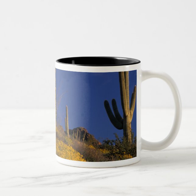 Caneca De Café Em Dois Tons EUA, Arizona, Organ Pipe Cactus National 2 (Direita)