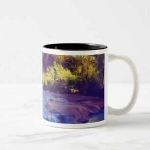 Caneca De Café Em Dois Tons EUA, Arizona, Sedona. Cathedral Rock refletindo 2