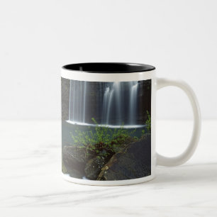 Caneca De Café Em Dois Tons EUA, Arkansas, Ozark- St Francis Nacional