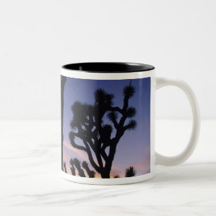 Caneca De Café Em Dois Tons EUA, California, Joshua Tree National Park,