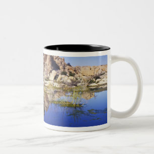 Caneca De Café Em Dois Tons EUA, Califórnia, Parque Nacional Joshua Tree,