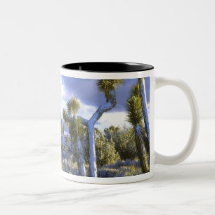 Caneca De Café Em Dois Tons EUA, Califórnia, Parque Nacional Joshua Tree. 2