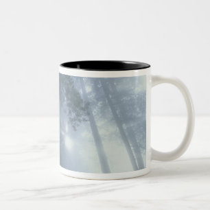 Caneca De Café Em Dois Tons EUA, Califórnia, Parque Nacional Redwood, Del