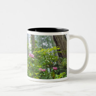 Caneca De Café Em Dois Tons EUA, Califórnia, Parque Nacional Redwood. Rhododen