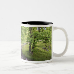 Caneca De Café Em Dois Tons EUA, Califórnia, Parque Nacional Redwood. Terra