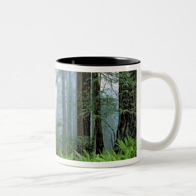 Caneca De Café Em Dois Tons EUA, Califórnia, Redwood NP. Sequoias (Direita)
