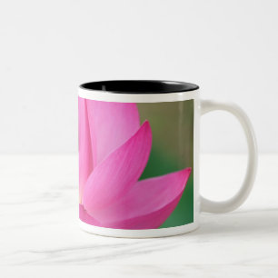 Caneca De Café Em Dois Tons EUA; Carolina do Norte; Flor de lótus