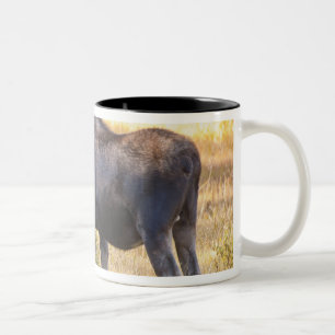 Caneca De Café Em Dois Tons EUA, Colorado, Cameron Pass. Alce macho