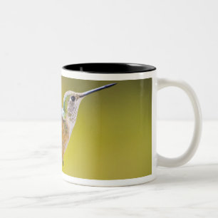Caneca De Café Em Dois Tons EUA, Colorado, Summit County, Heeney. Vista latera