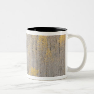 Caneca De Café Em Dois Tons EUA, Colorado, White River National Forest.