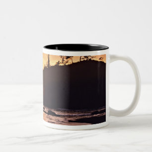 Caneca De Café Em Dois Tons EUA, Estado de Washington, Parque Nacional Olímpic
