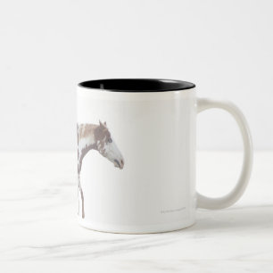 Caneca De Café Em Dois Tons EUA, Estados de Nova Iorque, Hudson, cavalo que