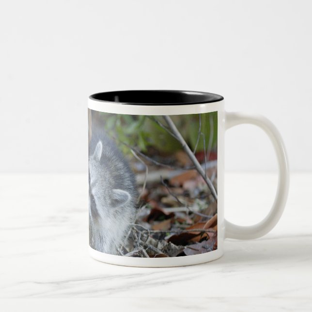 Caneca De Café Em Dois Tons EUA, Flórida, Sanibel, Ding Darling Nacional (Direita)