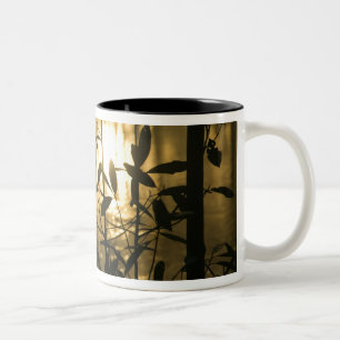 Caneca De Café Em Dois Tons EUA, Geórgia, Callaway Gardens, Nascer do Sol