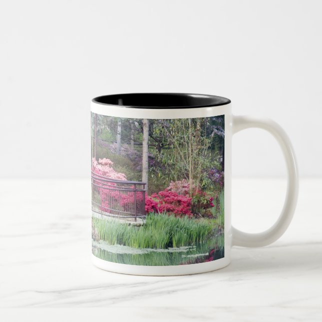 Caneca De Café Em Dois Tons EUA, Geórgia, Pine Mountain. Área de visualização  (Direita)