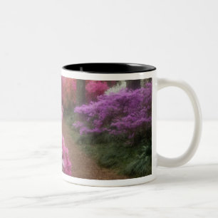 Caneca De Café Em Dois Tons EUA; Geórgia; Pine Mountain. Azaleas às 2