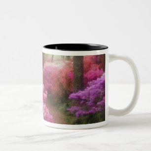 Caneca De Café Em Dois Tons EUA; Geórgia; Pine Mountain. Azaléias em