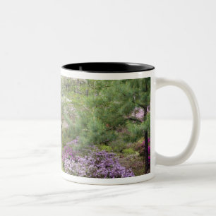 Caneca De Café Em Dois Tons EUA, Geórgia, Pine Mountain. Uma mistura de