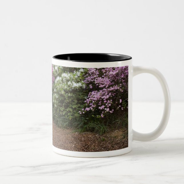 Caneca De Café Em Dois Tons EUA, Geórgia, Pine Mountain. Uma passagem através (Direita)