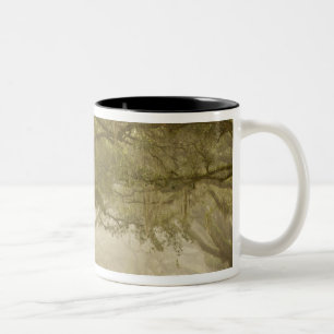 Caneca De Café Em Dois Tons EUA, Geórgia, Savannah, Uma entrada ladeada por ca