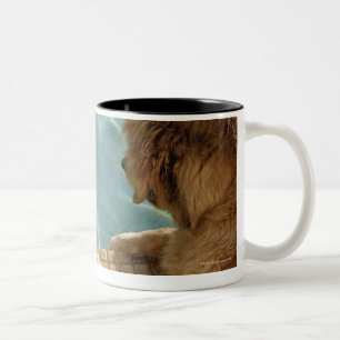 Caneca De Café Em Dois Tons EUA, Havaí, Honolulu.