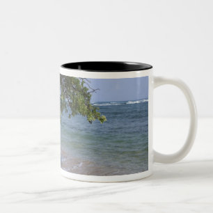 Caneca De Café Em Dois Tons EUA, Havaí, Kauai, cena de praia. RF)